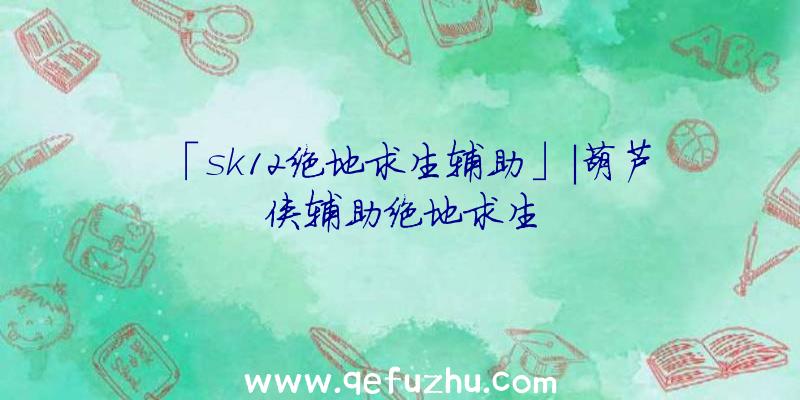 「sk12绝地求生辅助」|葫芦侠辅助绝地求生